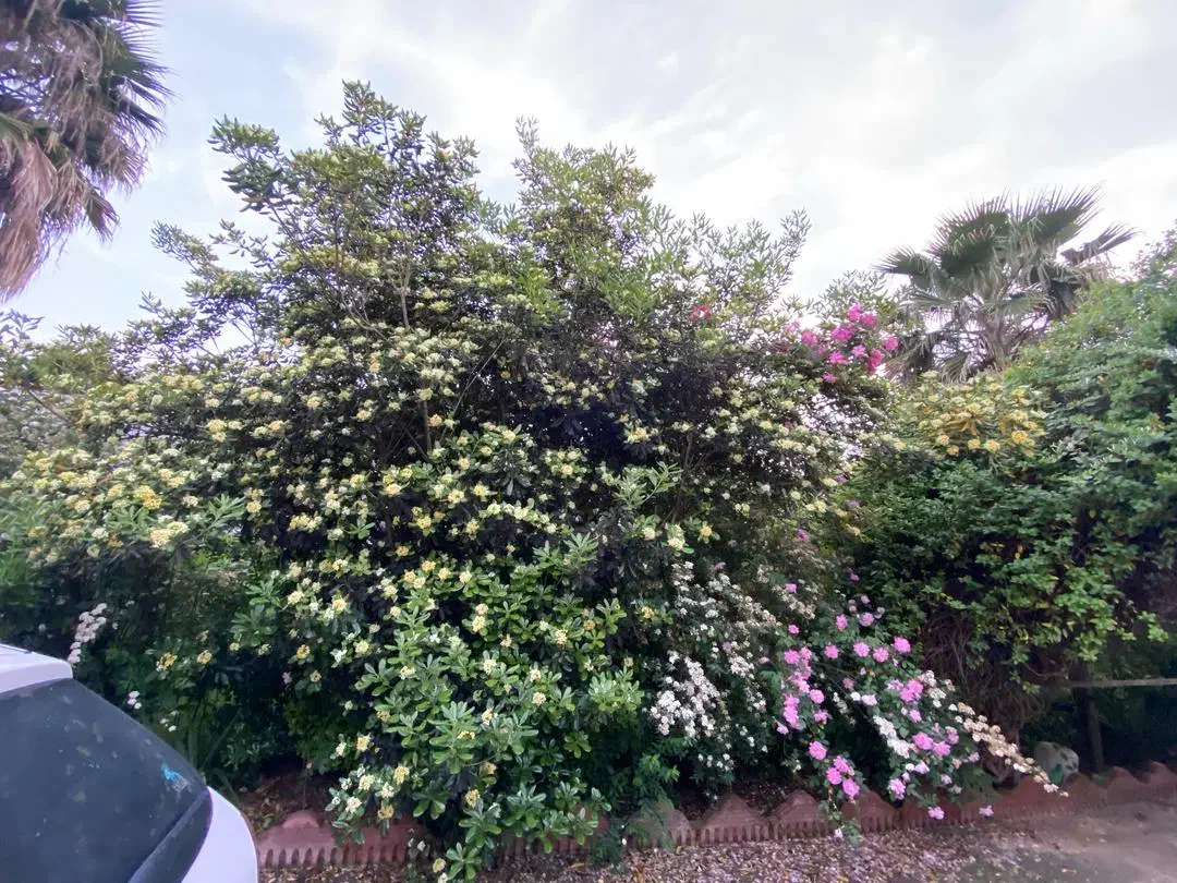 کمک در زمینه دعا|فعالیت داوطلبانه|دامن, |دیوار