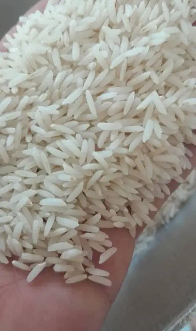 برنج هاشمی|خوردنی و آشامیدنی|اسلام‌شهر, شهرک مهدیه|دیوار