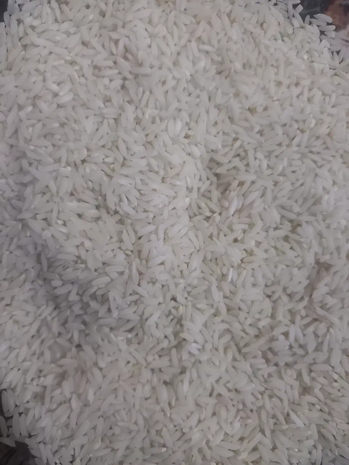 برنج محلی کاظمی|خوردنی و آشامیدنی|بروجرد, |دیوار