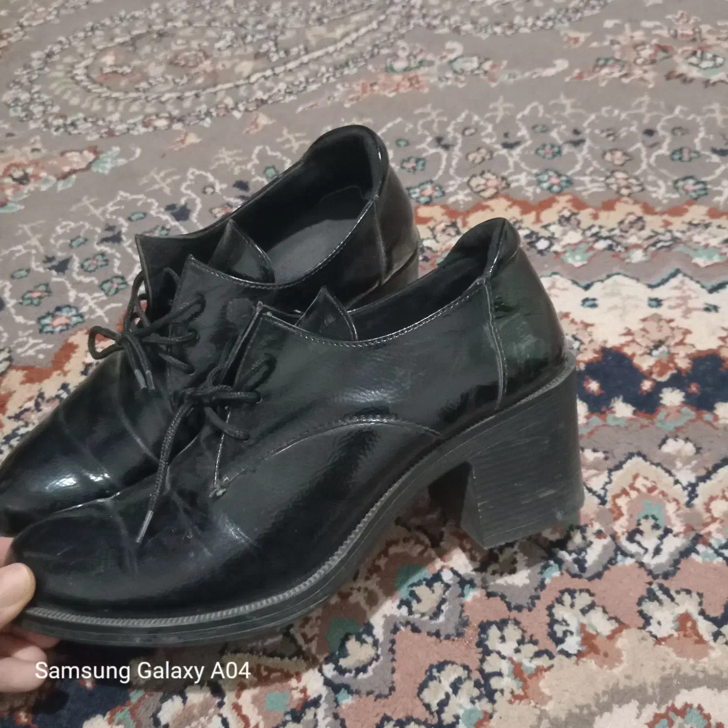 کفش|کیف، کفش، کمربند|کوهدشت, |دیوار