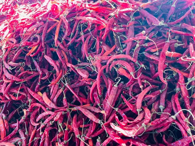 فلفل تند قلمی قرمز هشک|عمده‌فروشی|کازرون, |دیوار