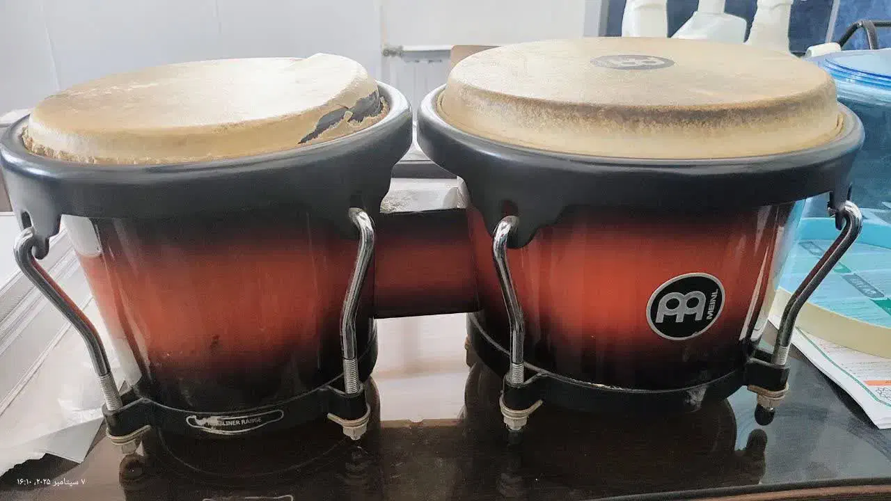 کونگا|درام و پرکاشن|تهران, تهرانپارس شرقی|دیوار