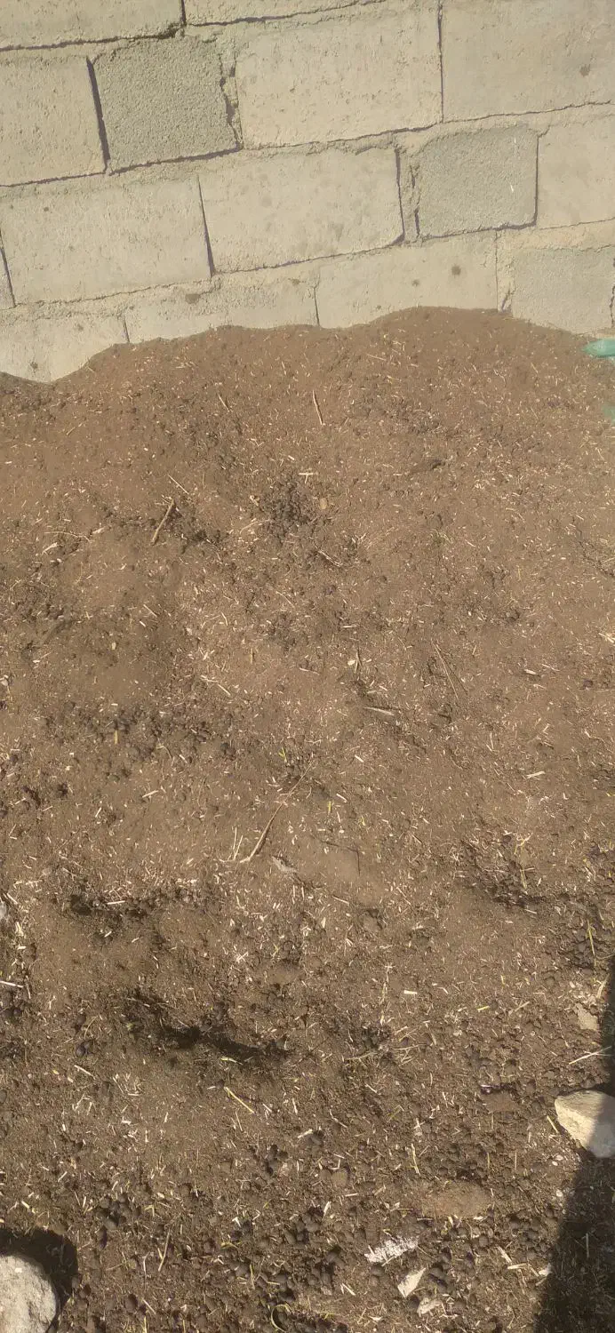 کود گوسفندی|خدمات باغبانی و درختکاری|هنزا, |دیوار