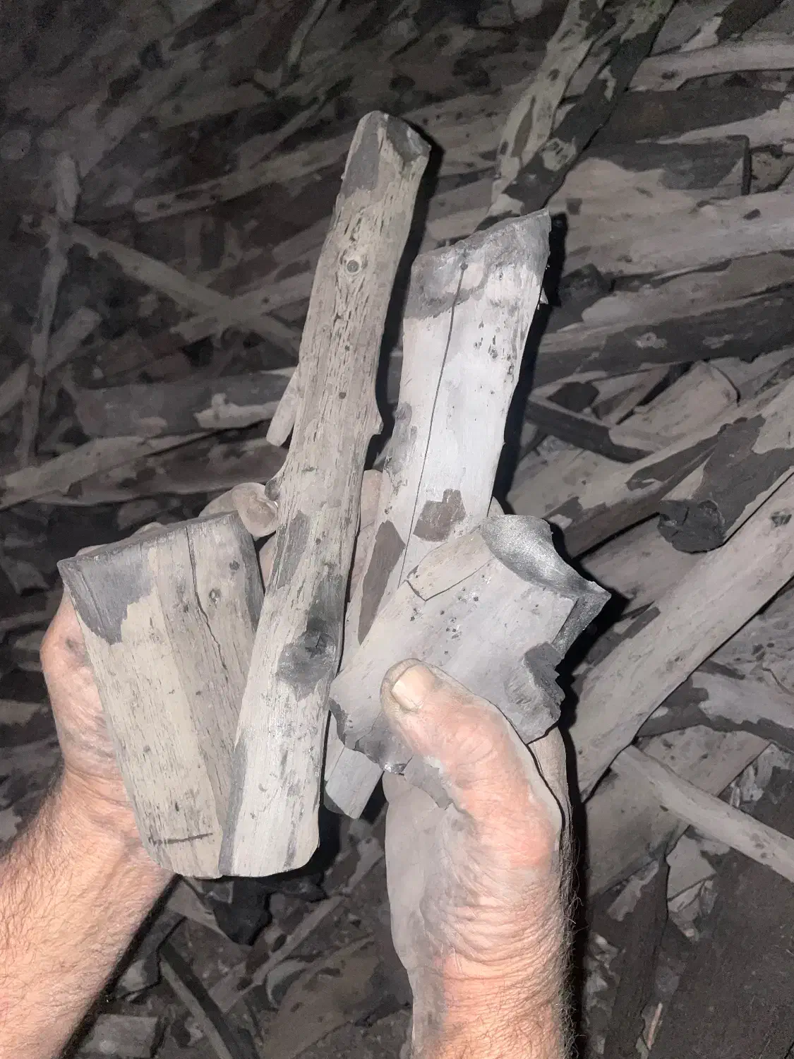 ذغال مورت قلمی درجه ۱|عمده‌فروشی|باوی, |دیوار