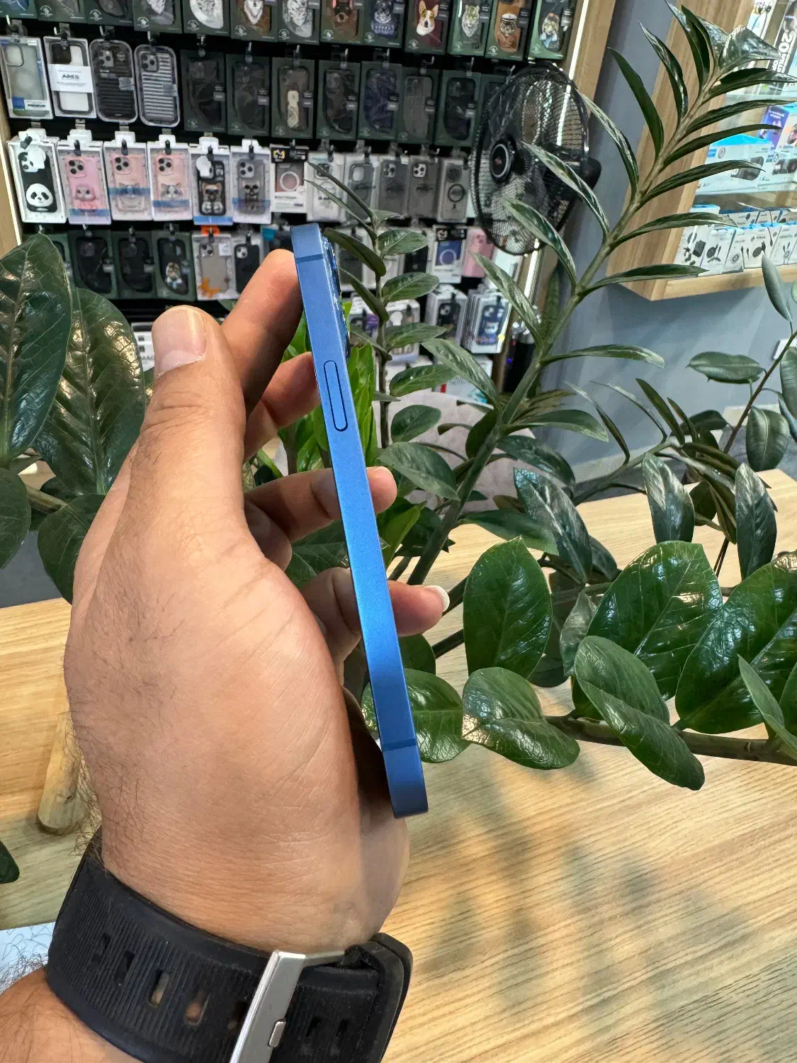 آیفون iphone 13 حافظه 256 گیگ ZA/A|موبایل|کرج, عظیمیه|دیوار