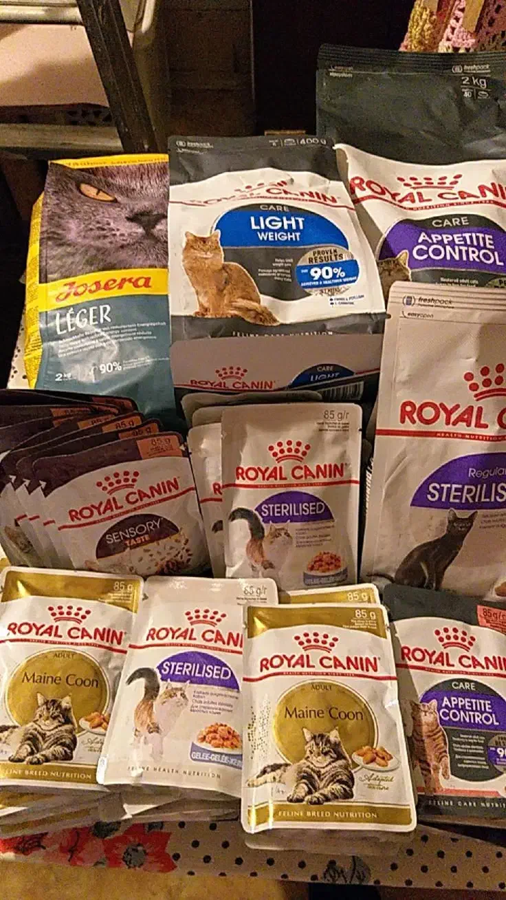 غذا خشک گربه جوسرا|لوازم جانبی حیوانات|تهران, جنت‌آباد مرکزی|دیوار