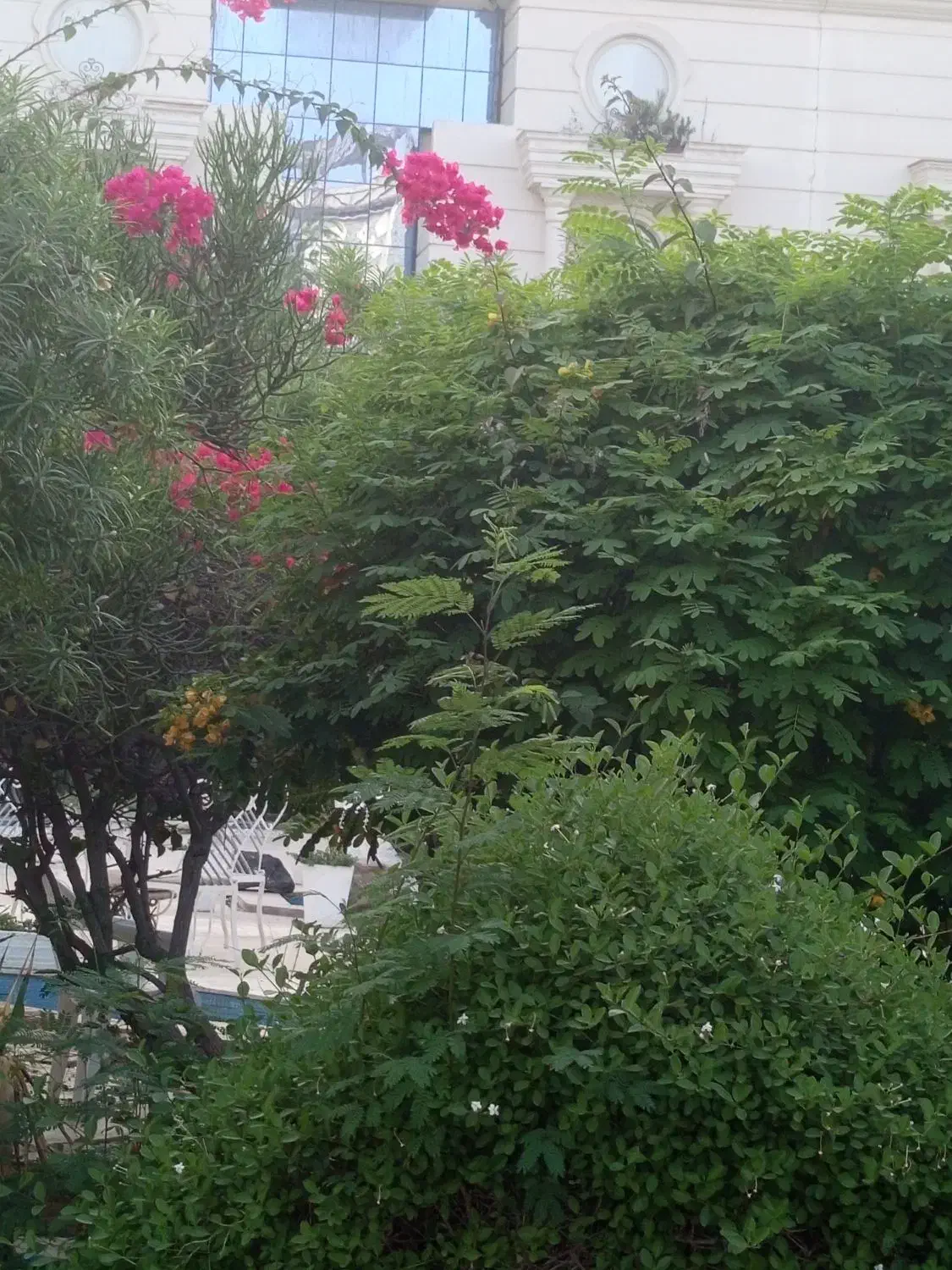 نظافت|خدمات نظافت|کیش, |دیوار