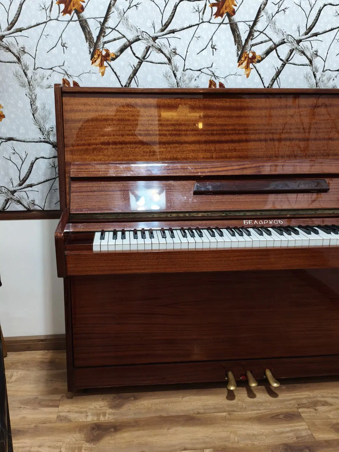 piano|پیانو، کیبورد، آکاردئون|تهران, حکمت|دیوار