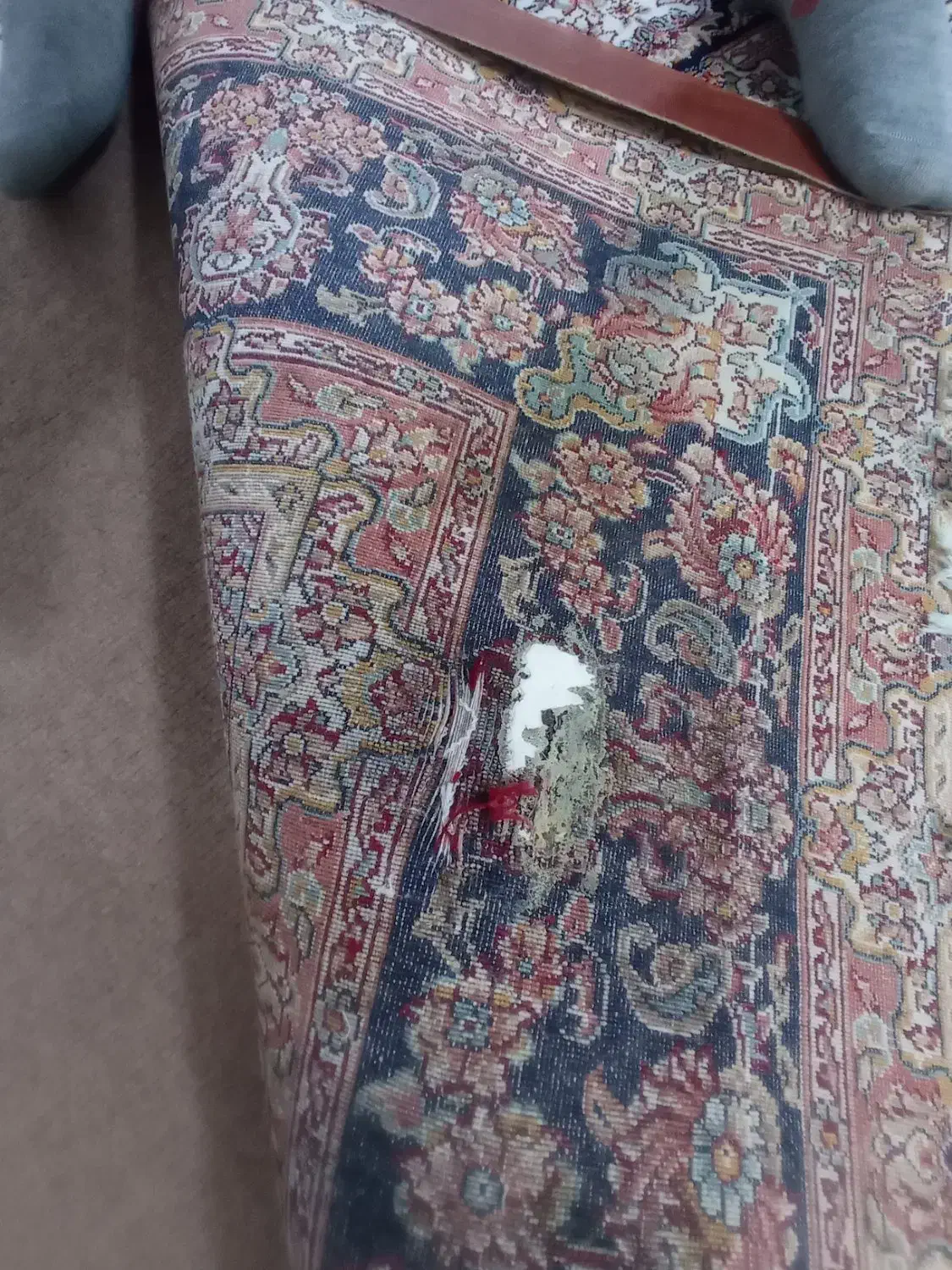 فرش ۷۰۰شانه مشهد|فرش|نسیم‌شهر, |دیوار