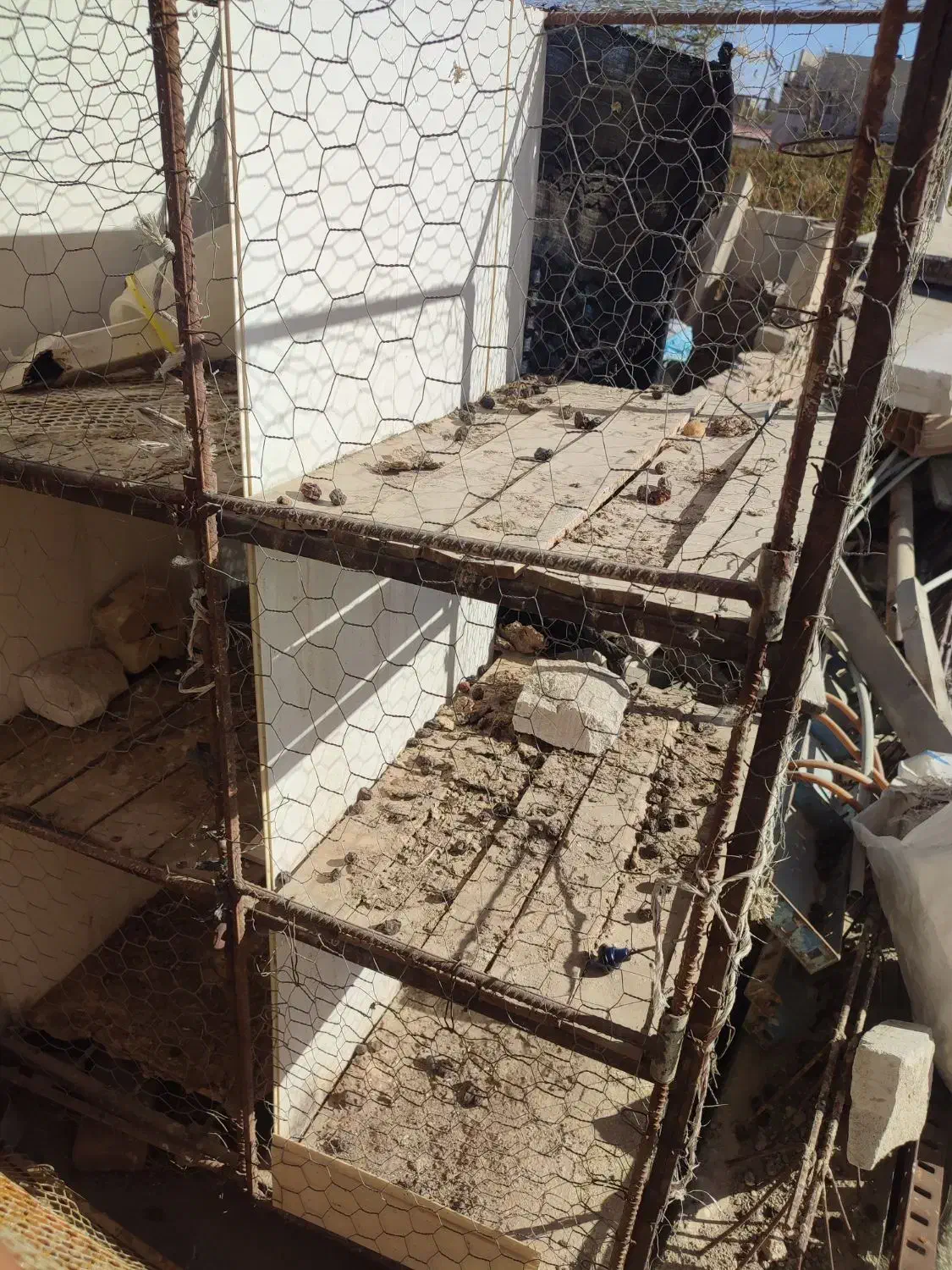 قفس کبوتر|لوازم جانبی حیوانات|نیشابور, فردوسی جنوبی|دیوار