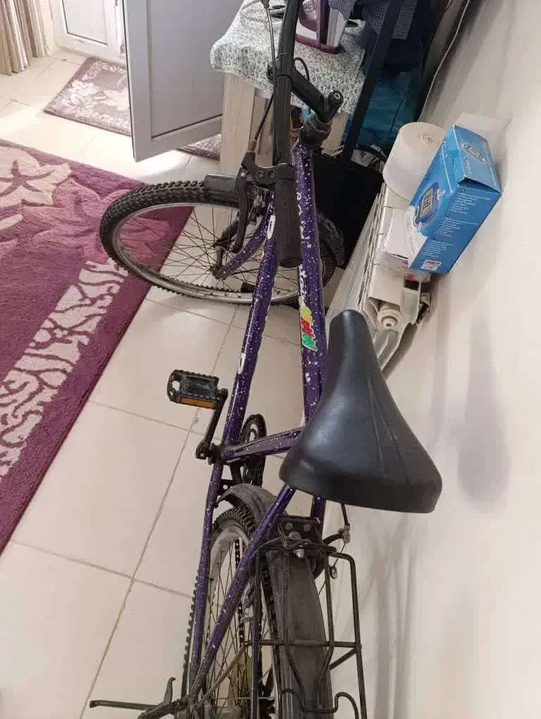 دوچرخه سایز ۲۶|دوچرخه، اسکیت، اسکوتر|پرند, فاز ۶|دیوار