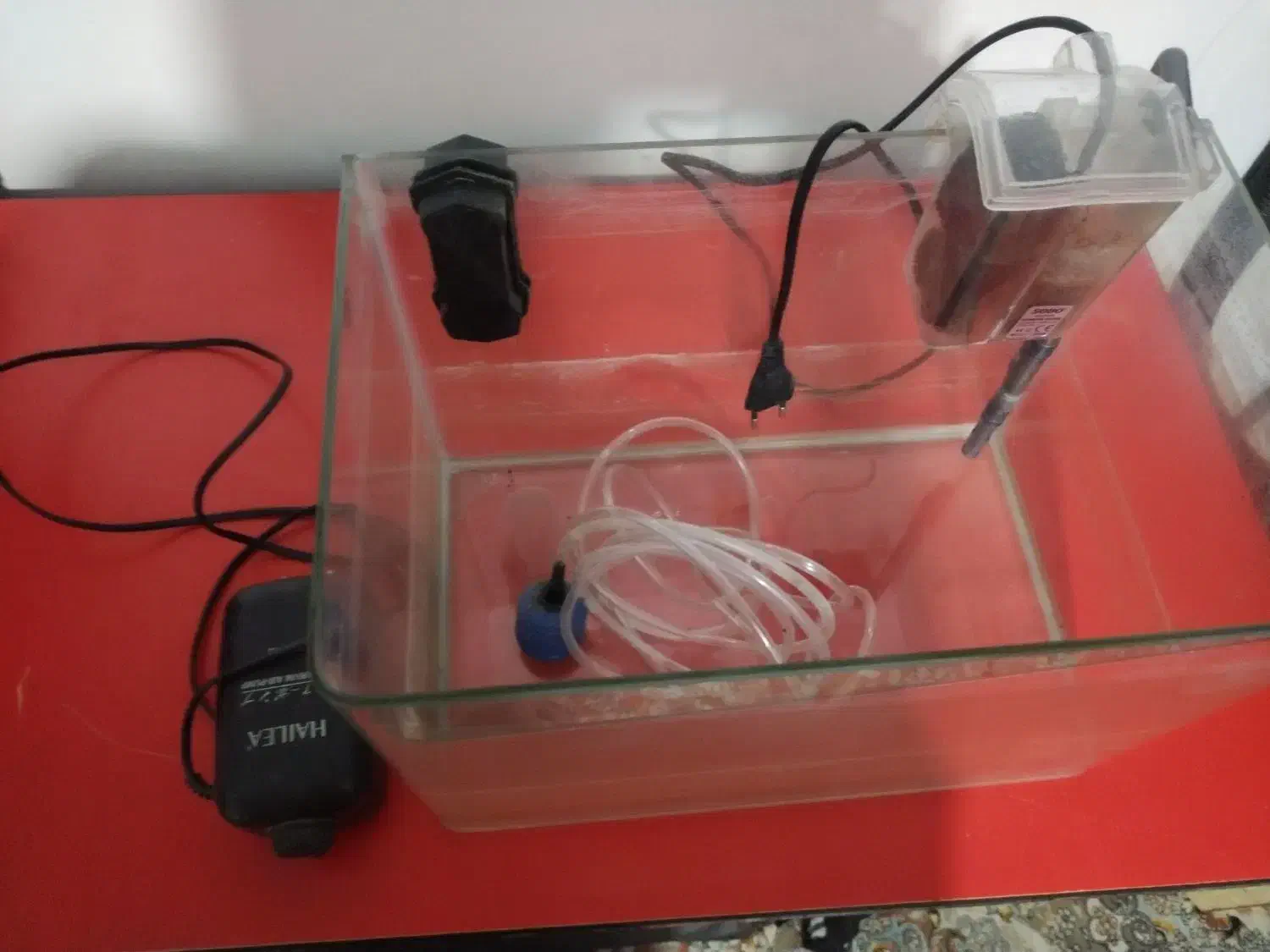 آکواریوم|ماهی|مشهد, همت آباد|دیوار