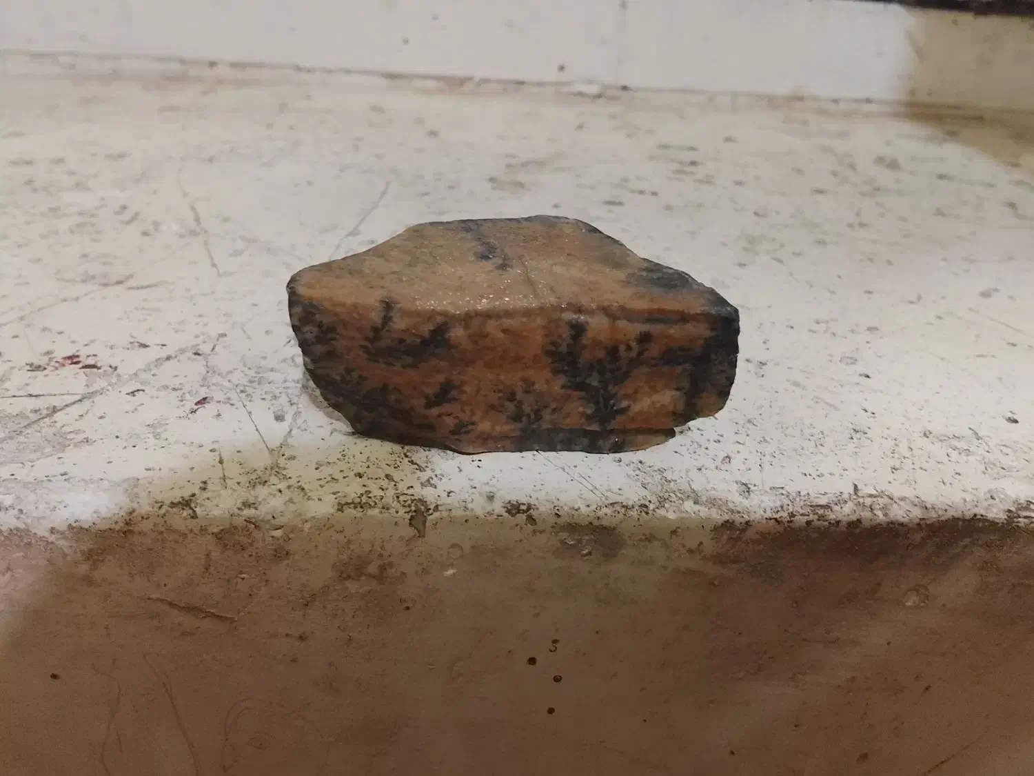 سنگ شجر 700تومان|کلکسیون اشیاء عتیقه|فسا, |دیوار