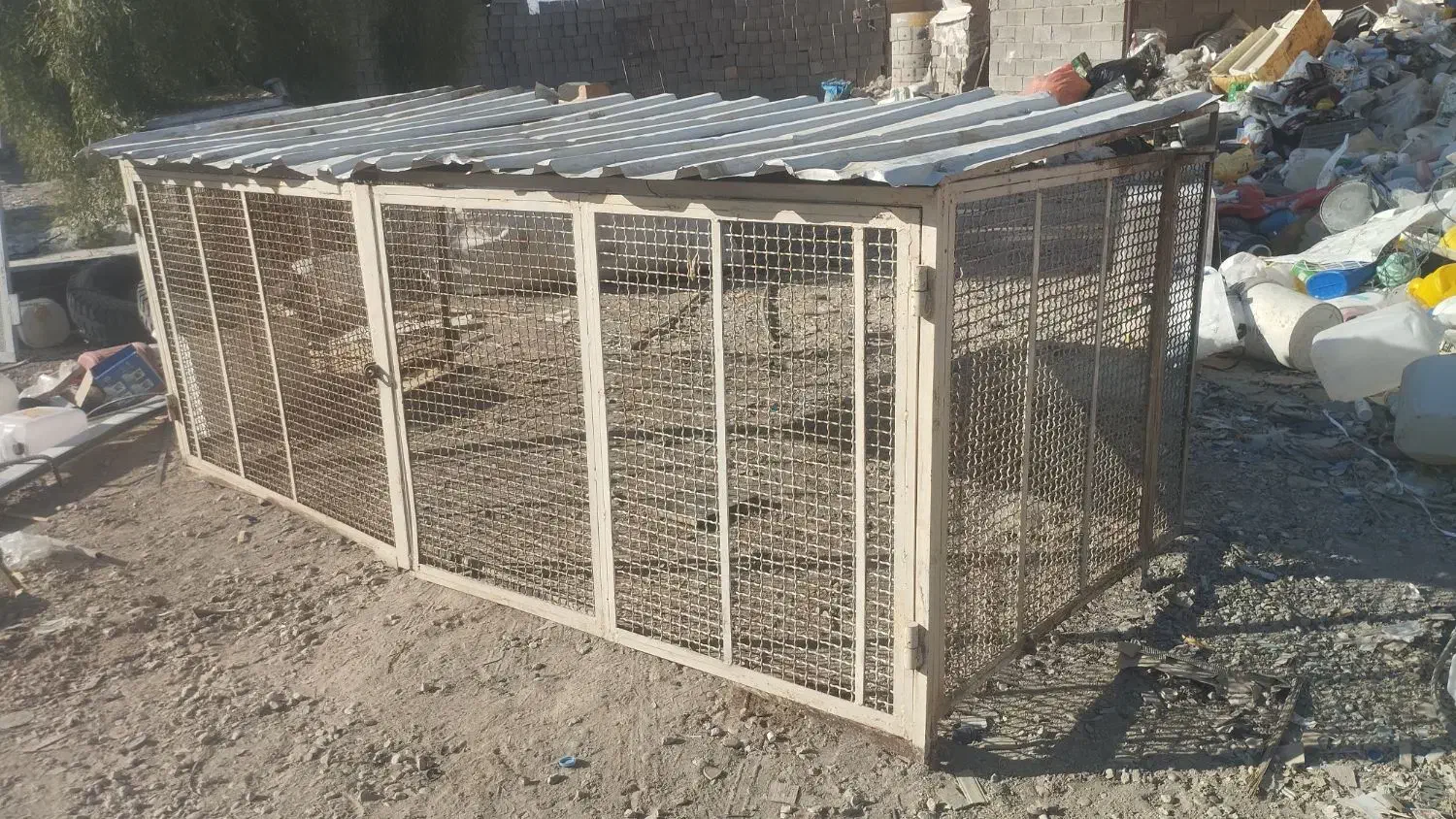 قفس|لوازم جانبی حیوانات|جهرم, |دیوار