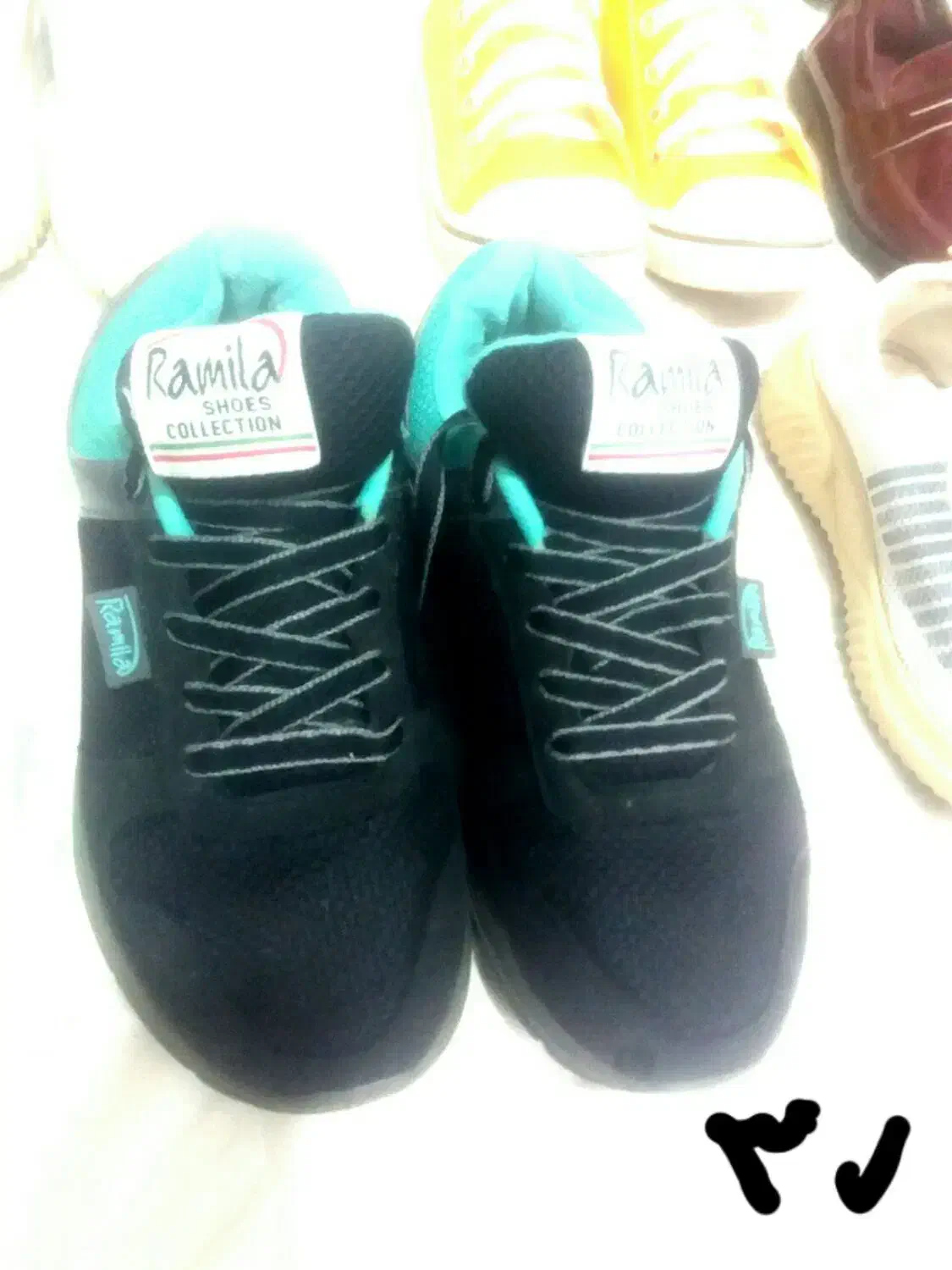 کفش استوک|کیف، کفش، کمربند|نیشابور, مازول|دیوار