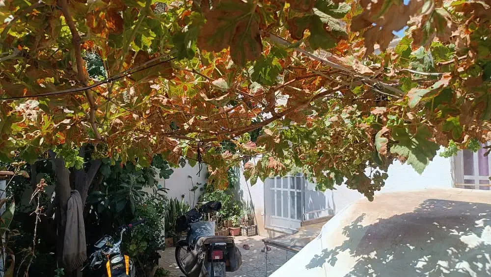 فروش خانه ویلایی در بلوار رحمت|فروش خانه و ویلا|شیراز, تندگویان|دیوار