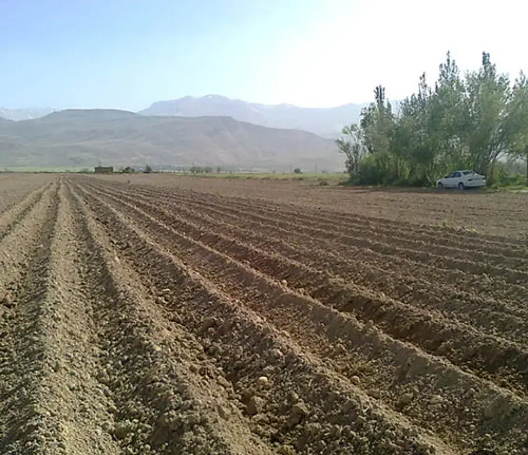 زمین کشاورزی|اجارهٔ دفتر صنعتی، کشاورزی، تجاری|نقده, |دیوار