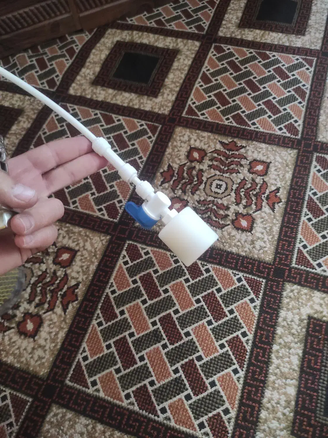 کپسول co2 خوراکی ۵لیتری گازدار کردن نوشیدنی ها|ماهی|یزد, |دیوار