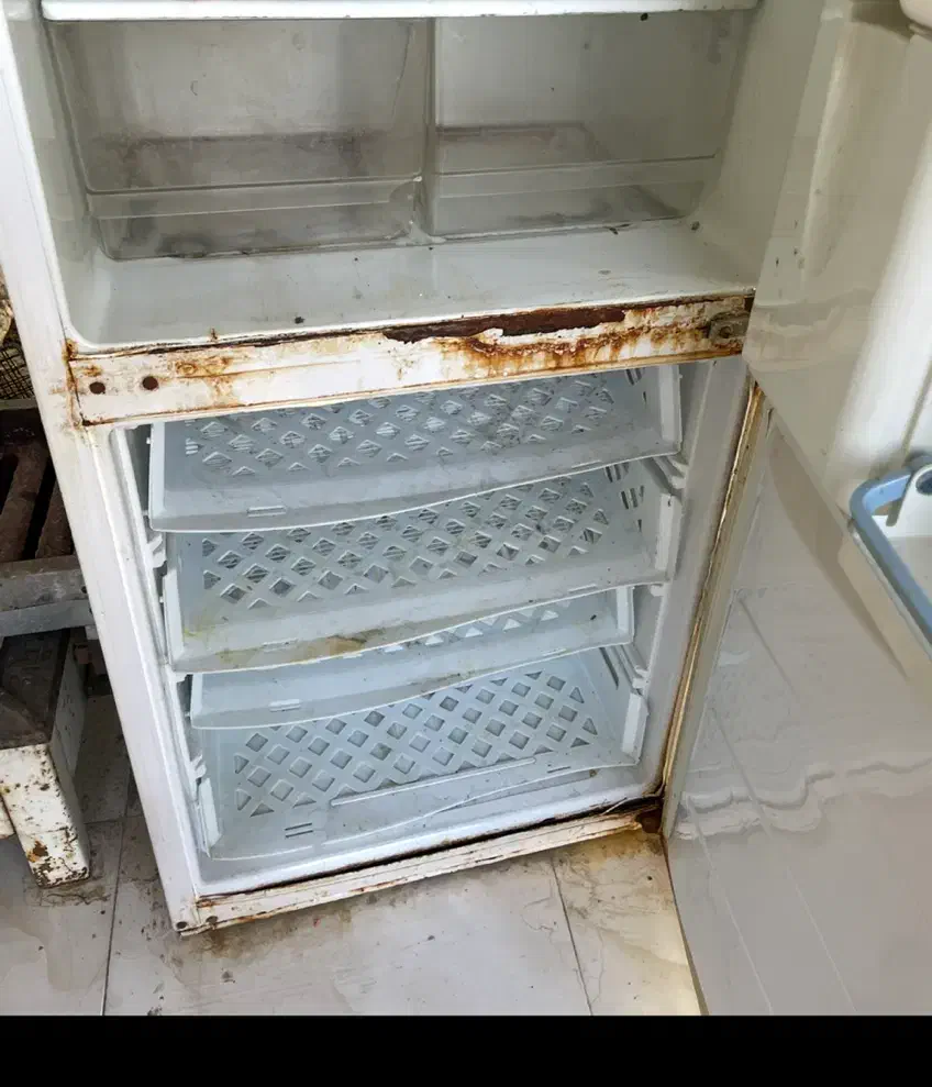 یخچال سینجر|یخچال و فریزر|بومهن, |دیوار