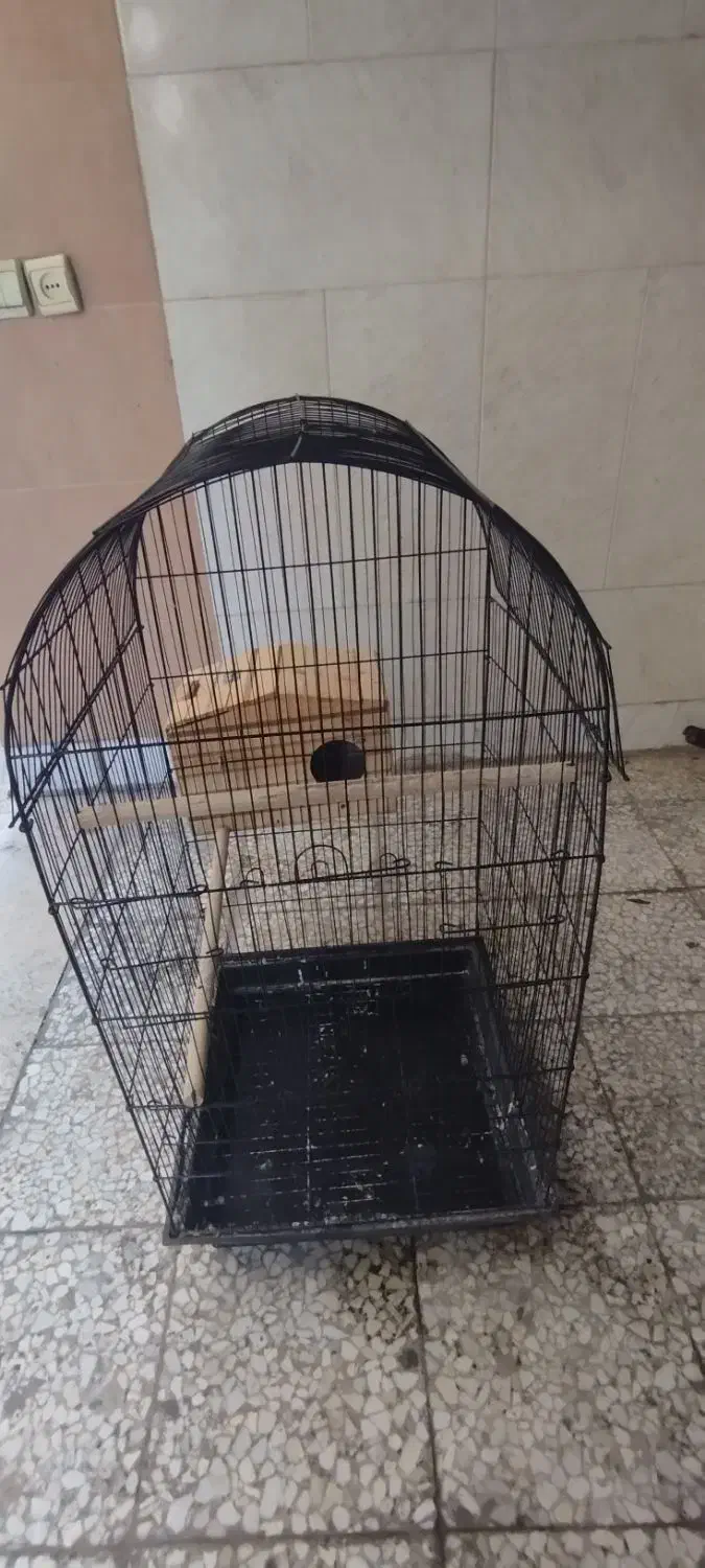 قفس پرنده|لوازم جانبی حیوانات|مشکین‌دشت, |دیوار