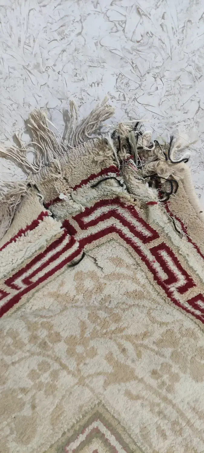 فرش|فرش|دامغان, |دیوار