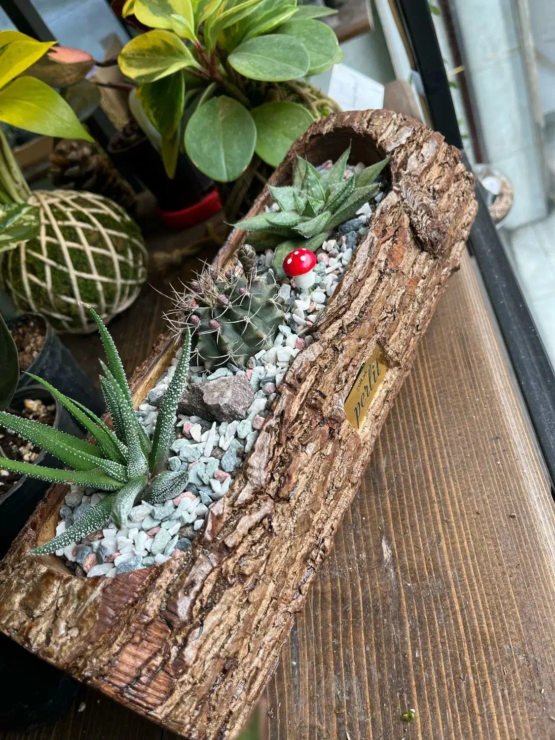 فروشنده دستفروشی|استخدام بازاریابی و فروش|رشت, بازار|دیوار