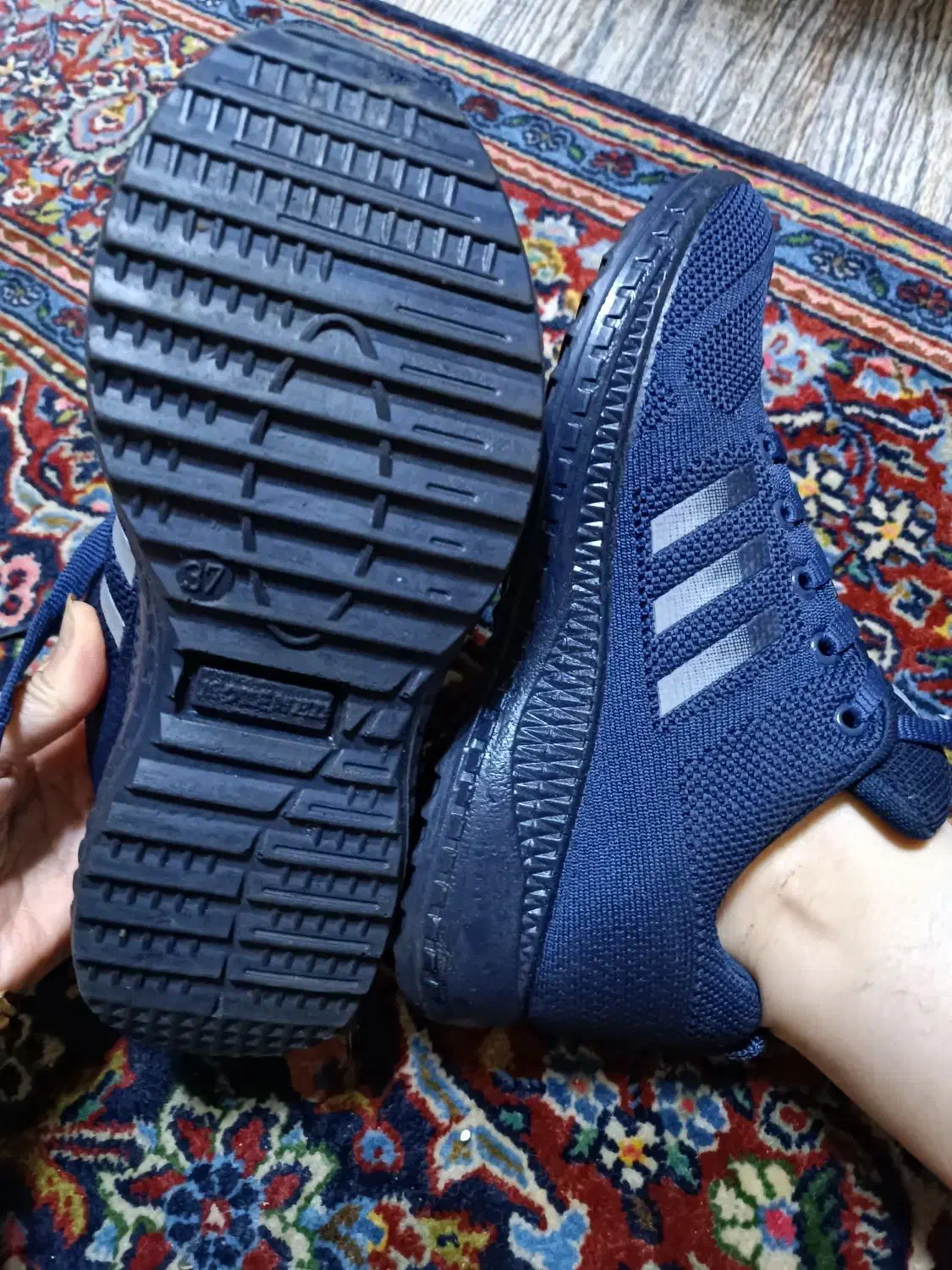 کتانی adidas|کیف، کفش، کمربند|رشت, کاکتوس|دیوار