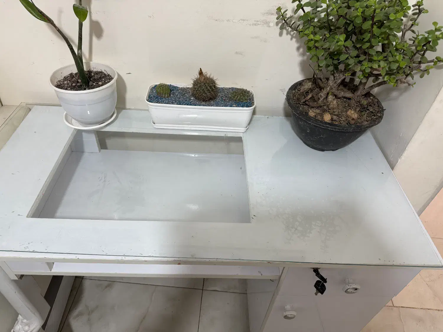 میز ناخن|آرایشگاه و سالن‌های زیبایی|رشت, گلزاران|دیوار