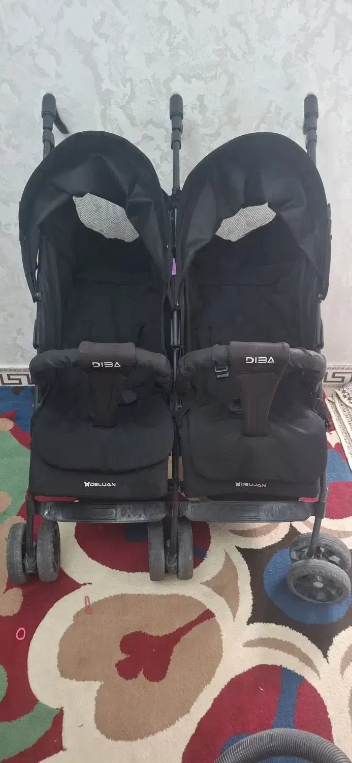 کالسکه دوقلویی دلیجان|کالسکه و لوازم جانبی|باغستان, |دیوار