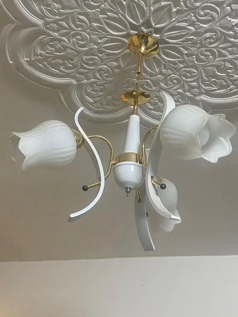 ۲ عدد لوستر ۳شعله|لوستر و چراغ آویز|اراک, |دیوار