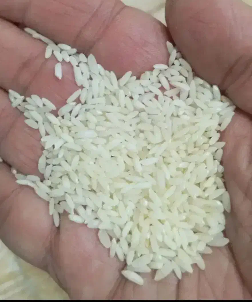 برنج عنبر بو شوشتر|خوردنی و آشامیدنی|اصفهان, بهارستان|دیوار