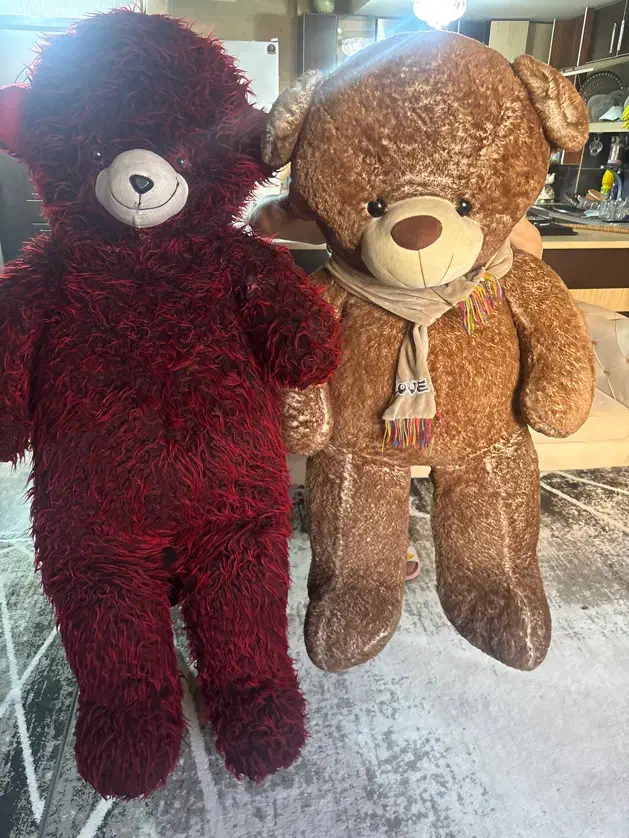 خرس بزرگ|اسباب‌‌بازی|شیراز, زرهی|دیوار