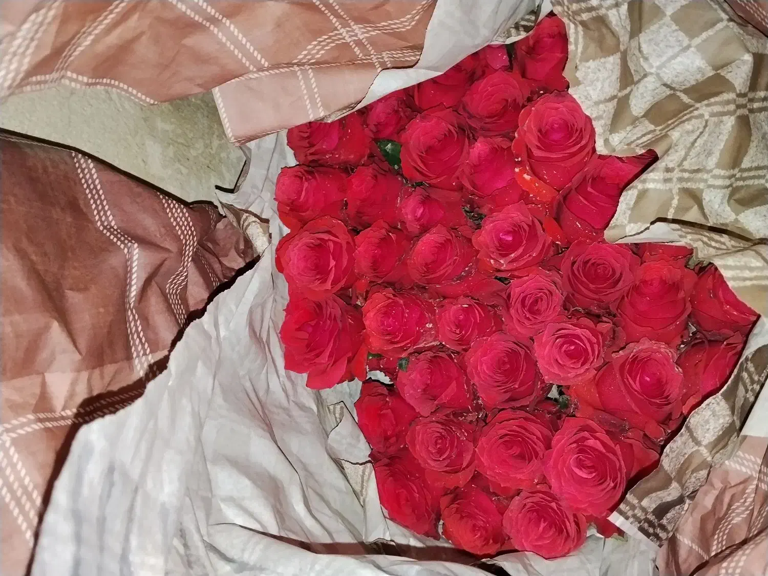 پخش عمده داوودی.رزایرانی وهلندی،قلم فوروگلایل|گل و گیاه طبیعی|شیراز, شیخ علی چوپان|دیوار