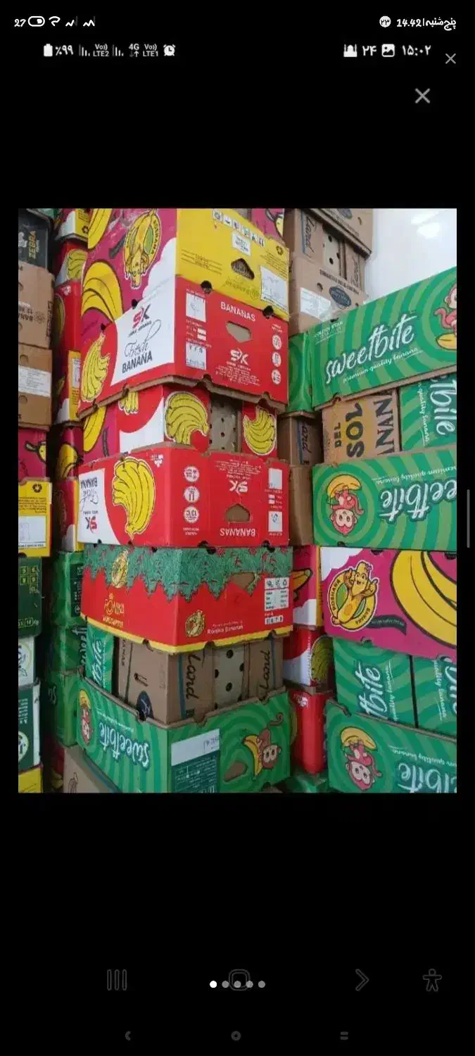 کارتن موزی|عمده‌فروشی|گلبهار, شهر جدید گلبهار|دیوار