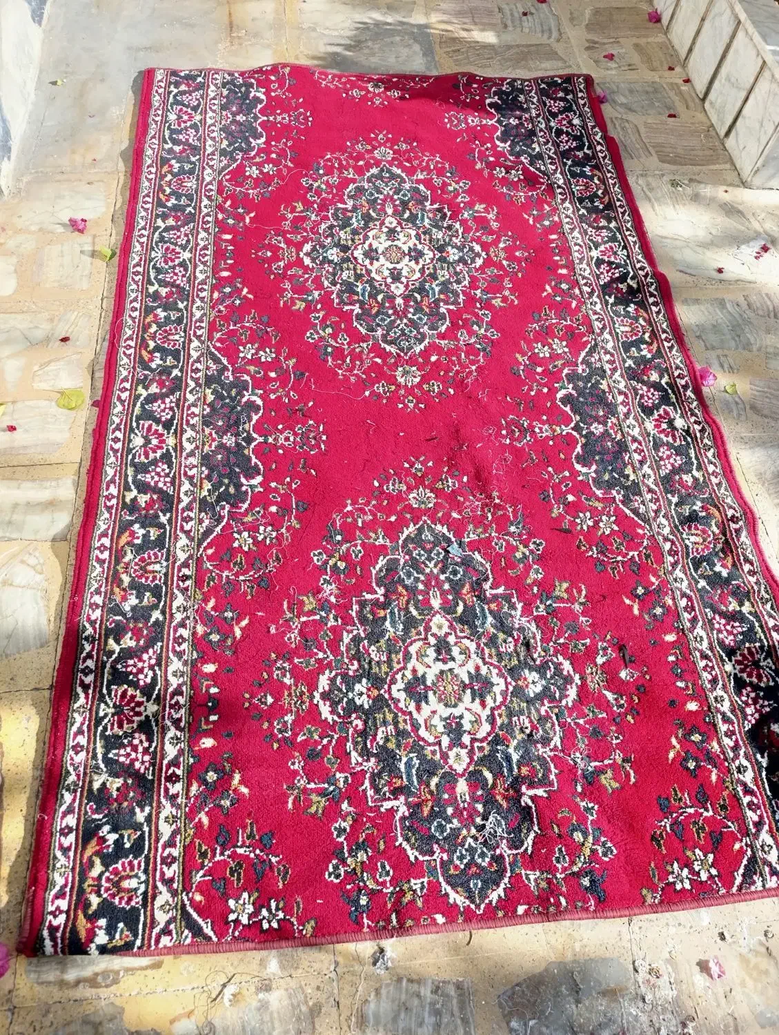 کناره قالی دو عدد|فرش|شیراز, نصر|دیوار