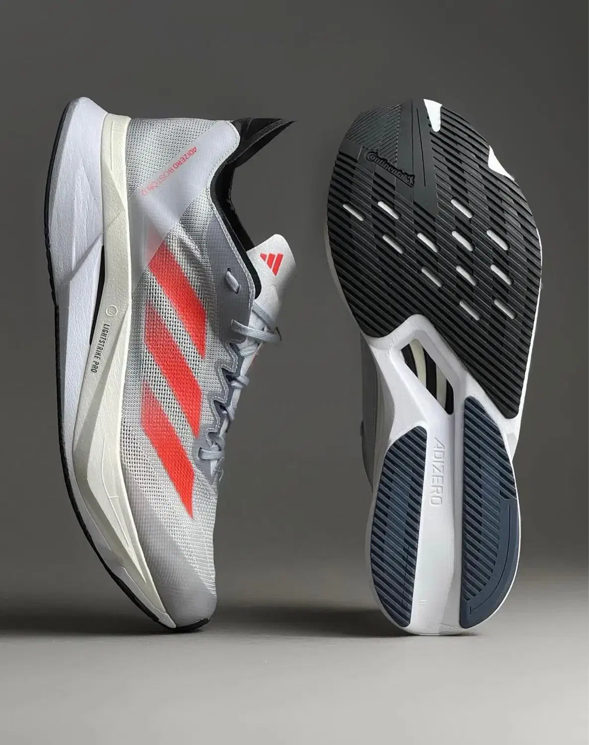 کفش|کیف، کفش، کمربند|چالوس, |دیوار