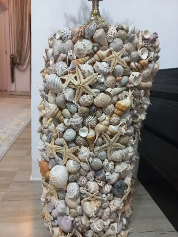 صدف های خوشگل،جهت تزئین|مجسمه، تندیس، ماکت|تبریز, |دیوار