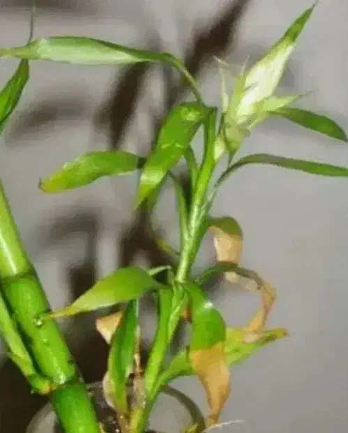 راهنمایی از بانوان...|فعالیت داوطلبانه|آزادشهر, |دیوار