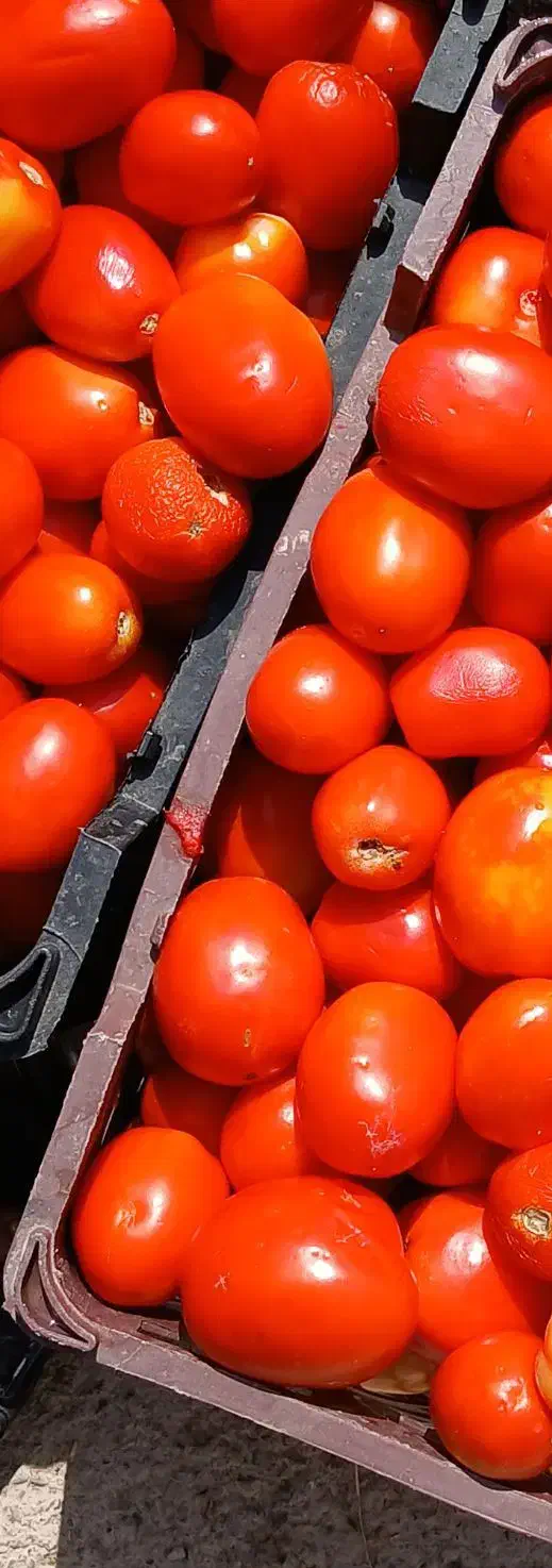 رب گوجه و ابغوره|خوردنی و آشامیدنی|شیراز, وصال|دیوار