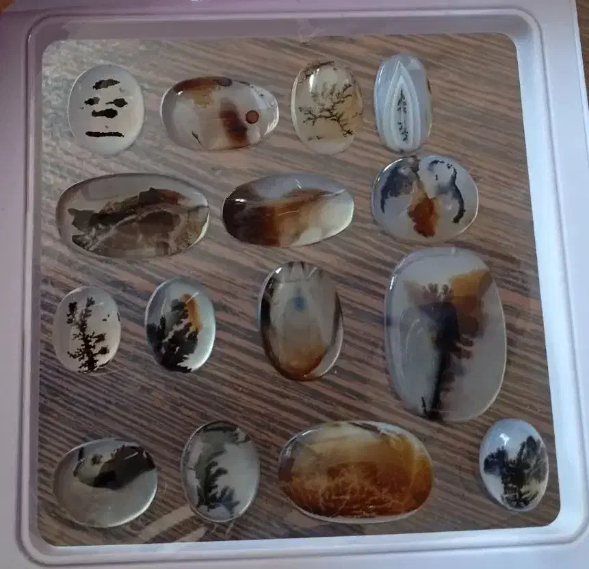 انگشتر و نگین شجر قاین درختی و شکل دار|جواهرات|مشهد, طلاب|دیوار