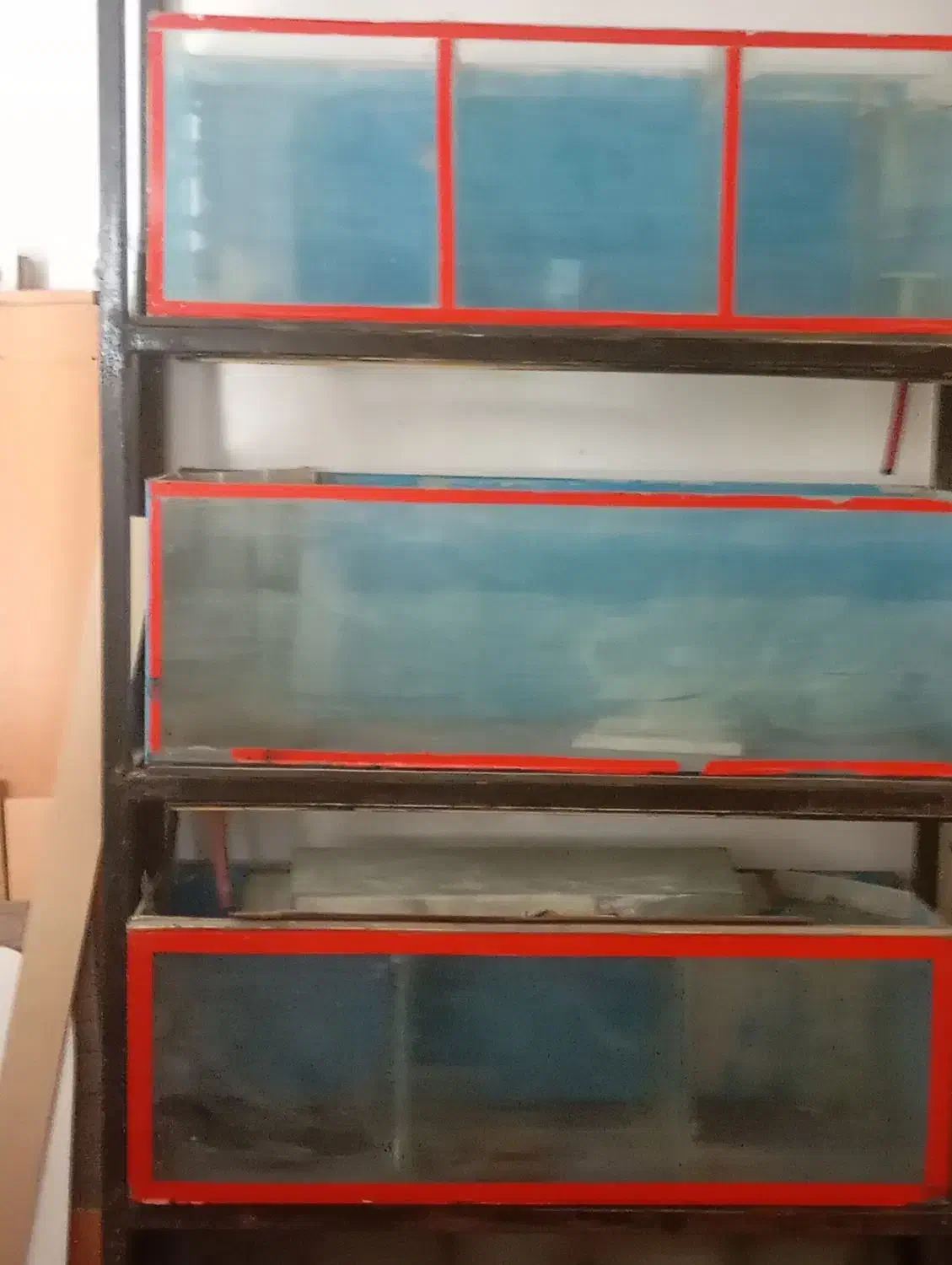 آکواریوم ومتعلقات|ماهی|صدرا-فارس, فاز ۱|دیوار