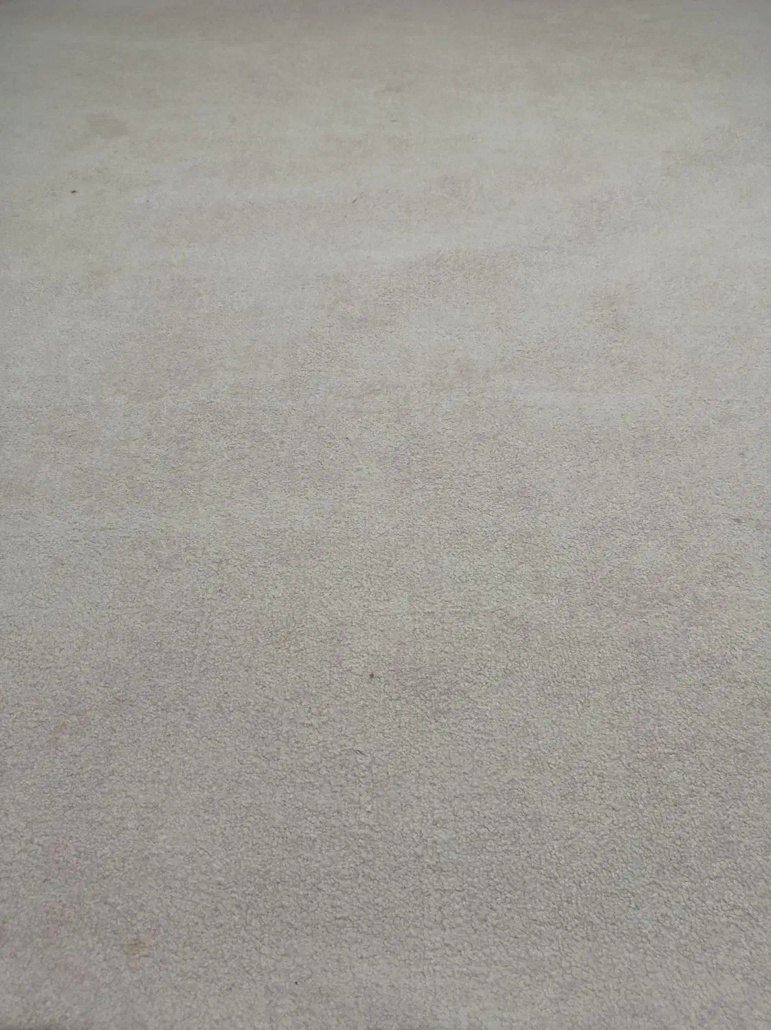 پالاز موکت صورتی روشن|موکت|اراک, |دیوار