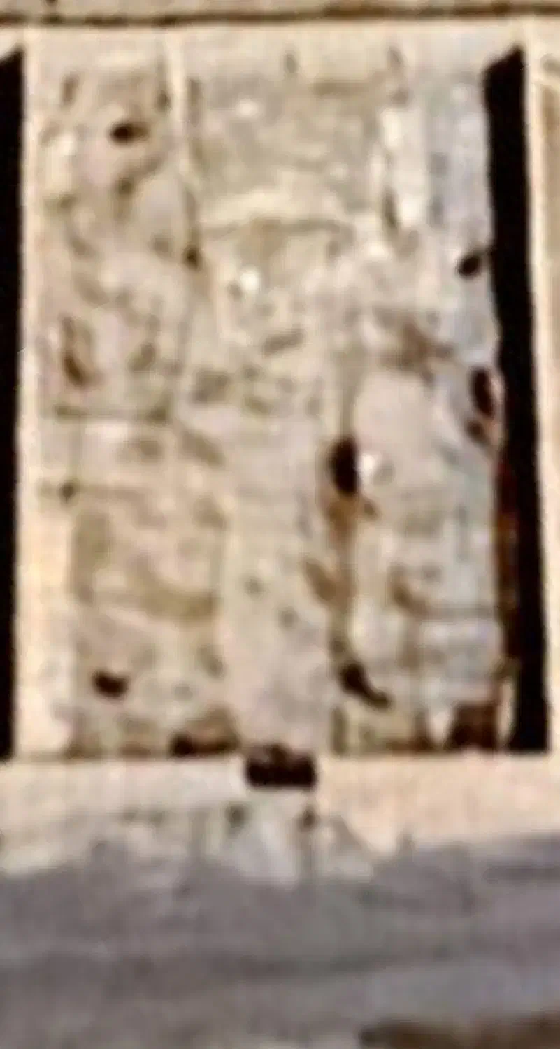 زمین مسکونی|فروش زمین و ملک کلنگی|زرندیه, |دیوار