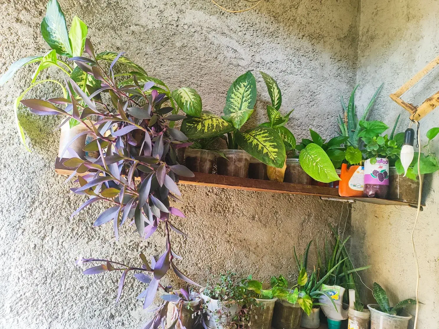 ارزونی|حراج|سرپل ذهاب, |دیوار