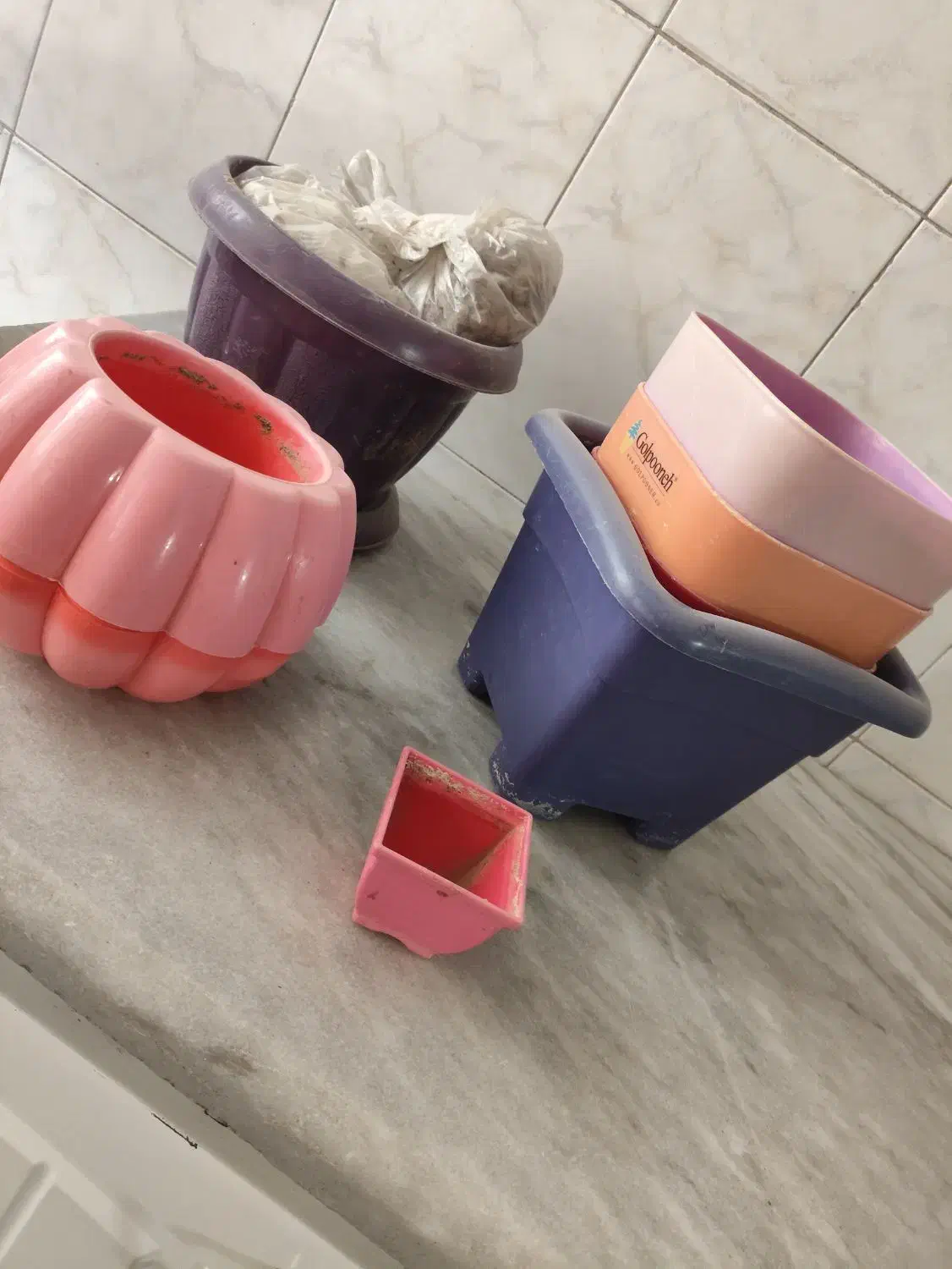 گلدان گل|گل و گیاه طبیعی|قم, نخودی|دیوار