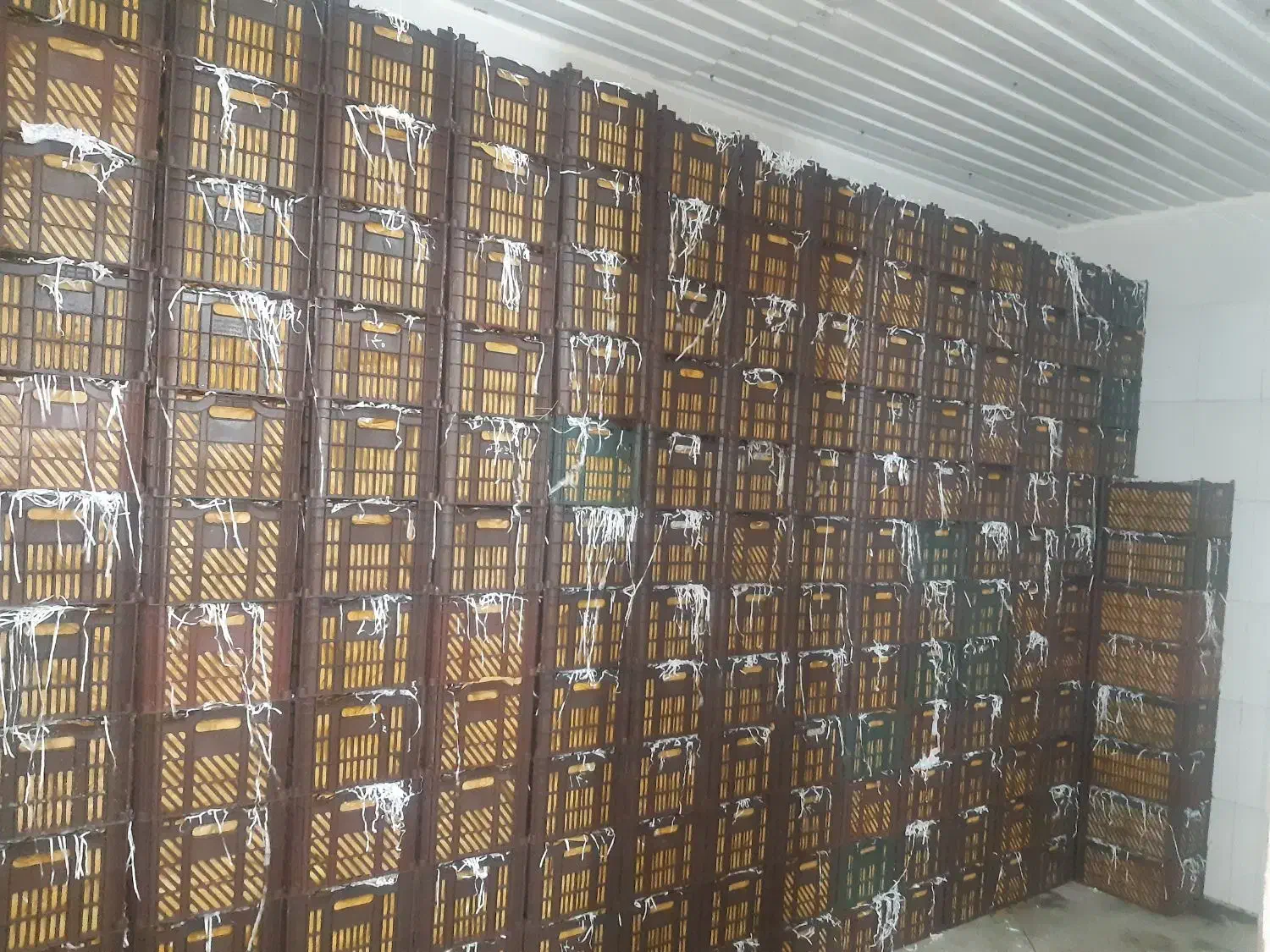 طراحی و ساخت سردخانه صنعتی خیام برودت|ماشینآلات صنعتی|مشهد, امیر|دیوار