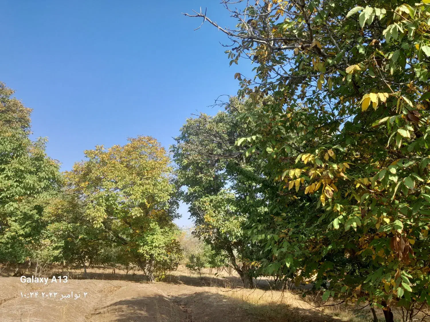 زمین|فروش زمین و ملک کلنگی|ضیاء آباد, |دیوار