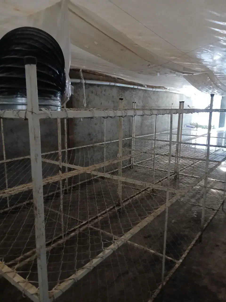 اجاره کارگاه (سوله)|اجارهٔ دفتر صنعتی، کشاورزی، تجاری|بناب, |دیوار