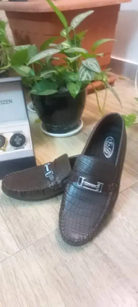 کفش ترک مردانه نو|کیف، کفش، کمربند|بندر انزلی, پرستار|دیوار