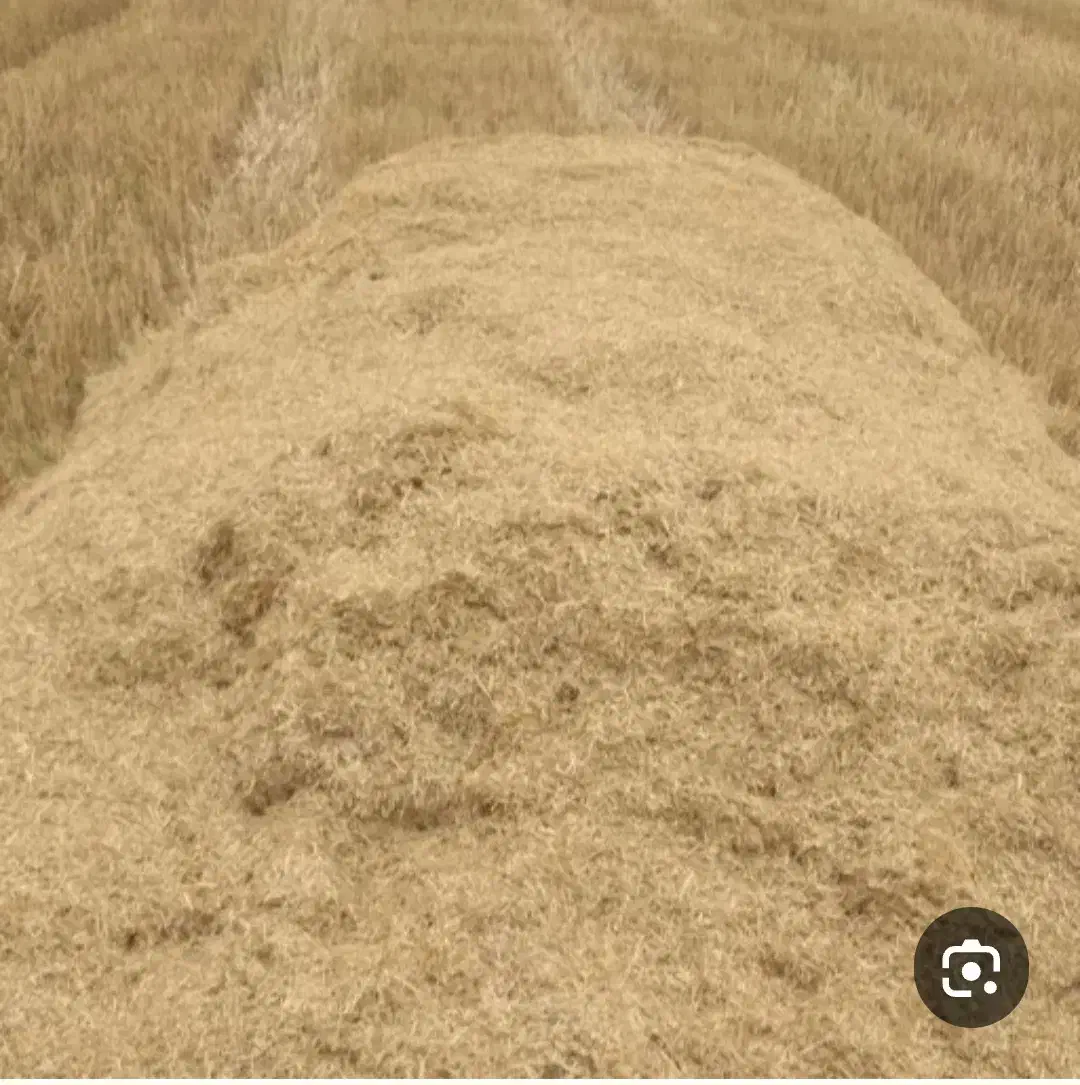 کاه گندم|حیوانات مزرعه|قم, علی آباد سعدگان|دیوار